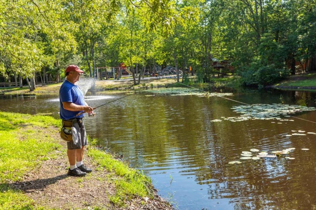 Photo of Others in South Seaville