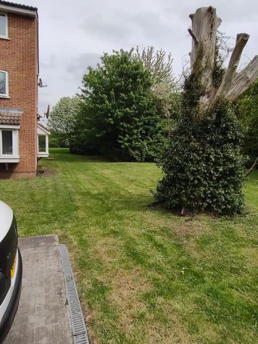 Photo of Buildings in Coppetts