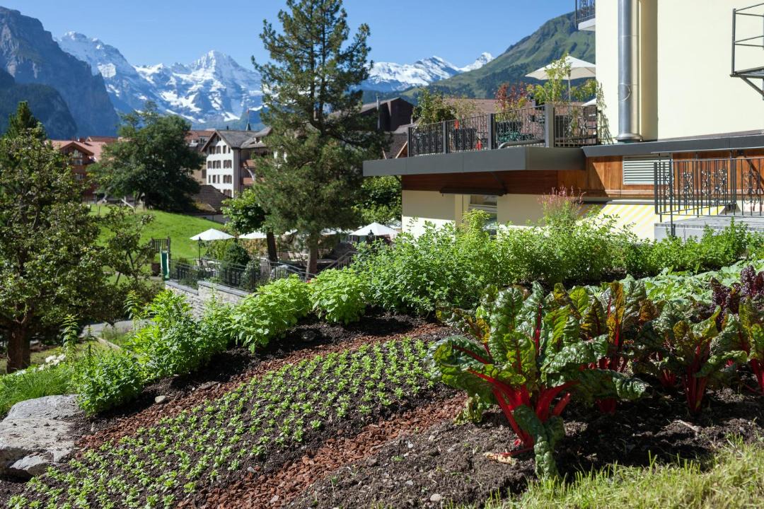 Photo of Others in Wengen