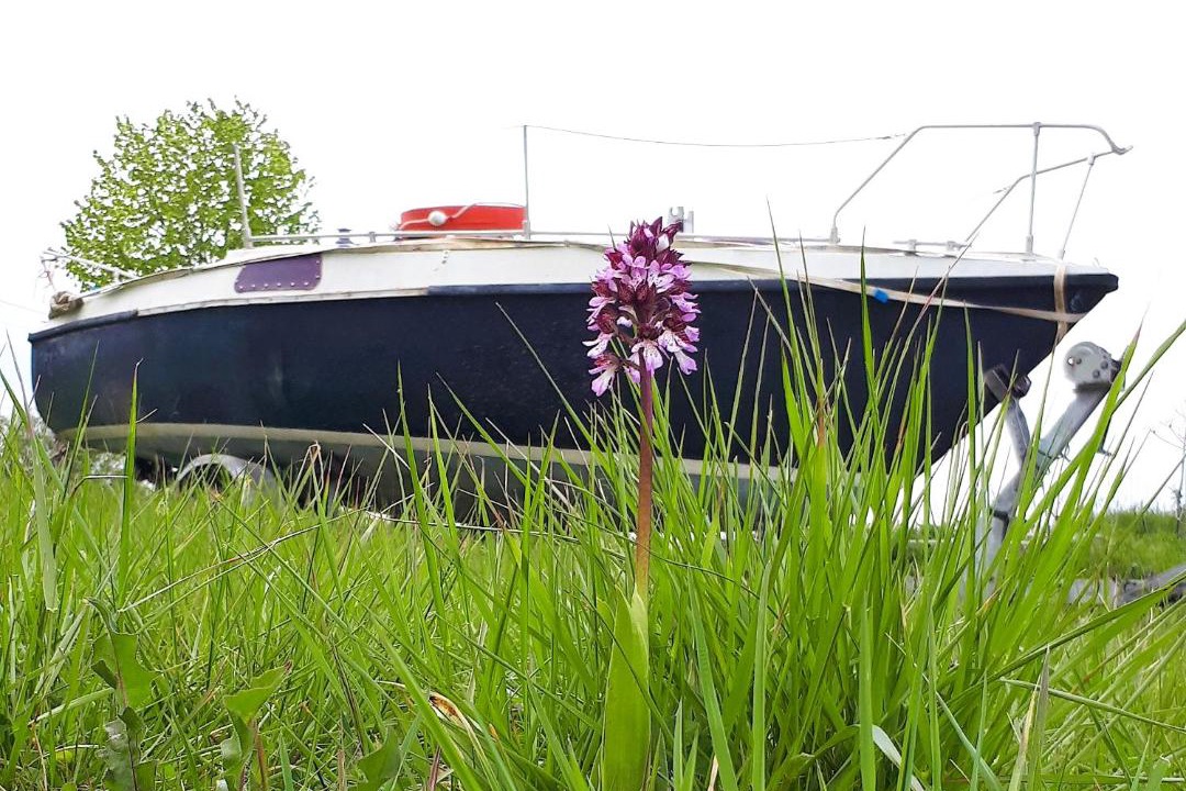 Photo of Others in Saint-Bris-le-Vineux
