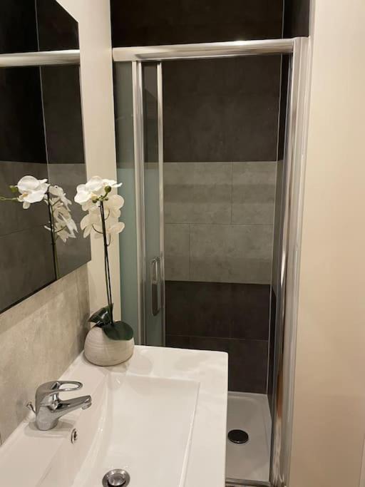 Photo of Others in Sainte-Anne - Faubourg Noyon