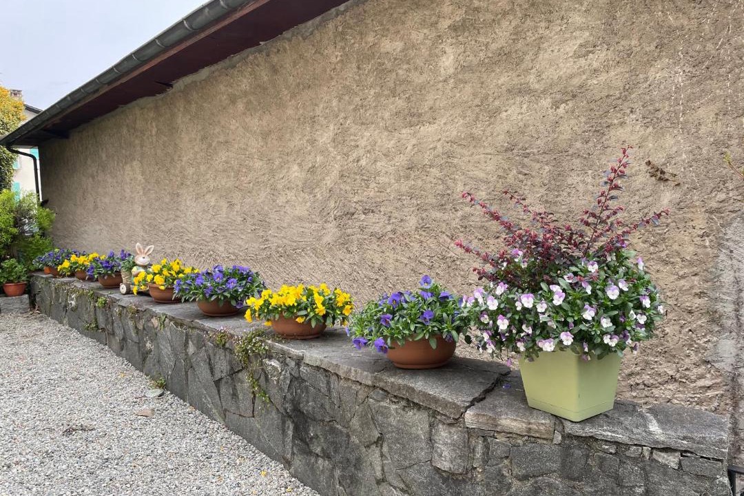 Photo of Others in Brissago