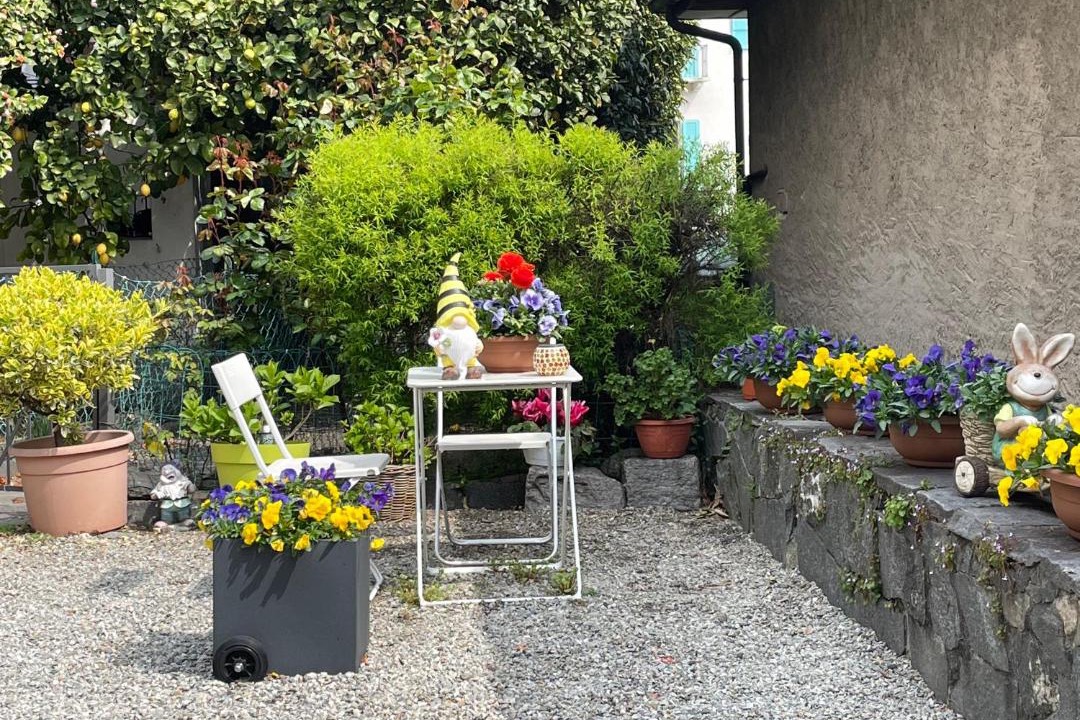 Photo of Others in Brissago