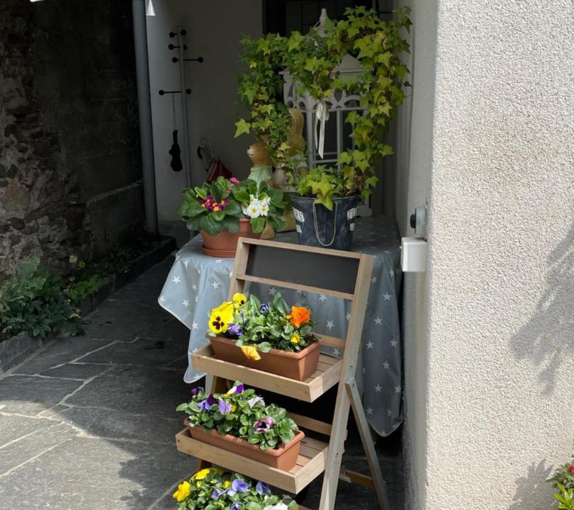 Photo of Others in Brissago