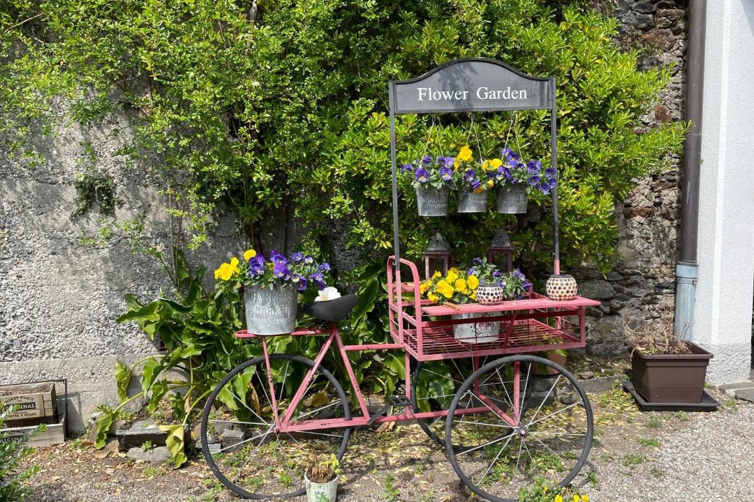 Photo of Others in Brissago