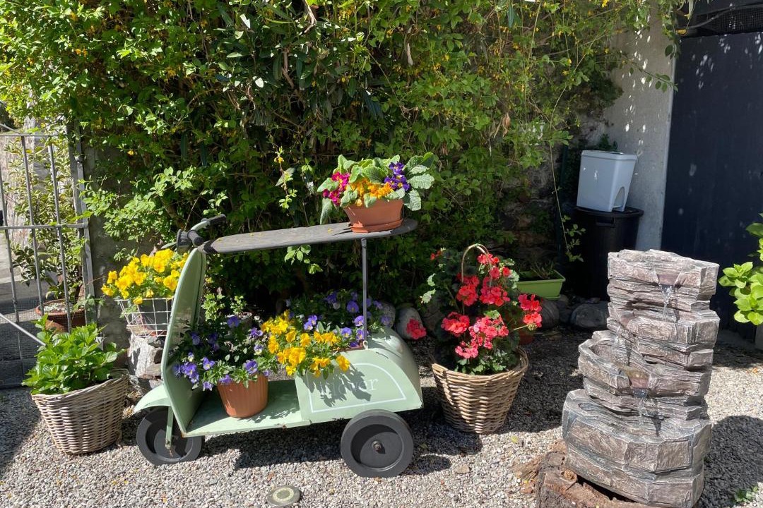 Photo of Others in Brissago