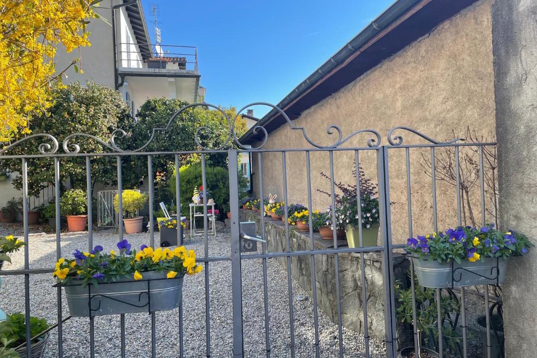 Photo of Others in Brissago