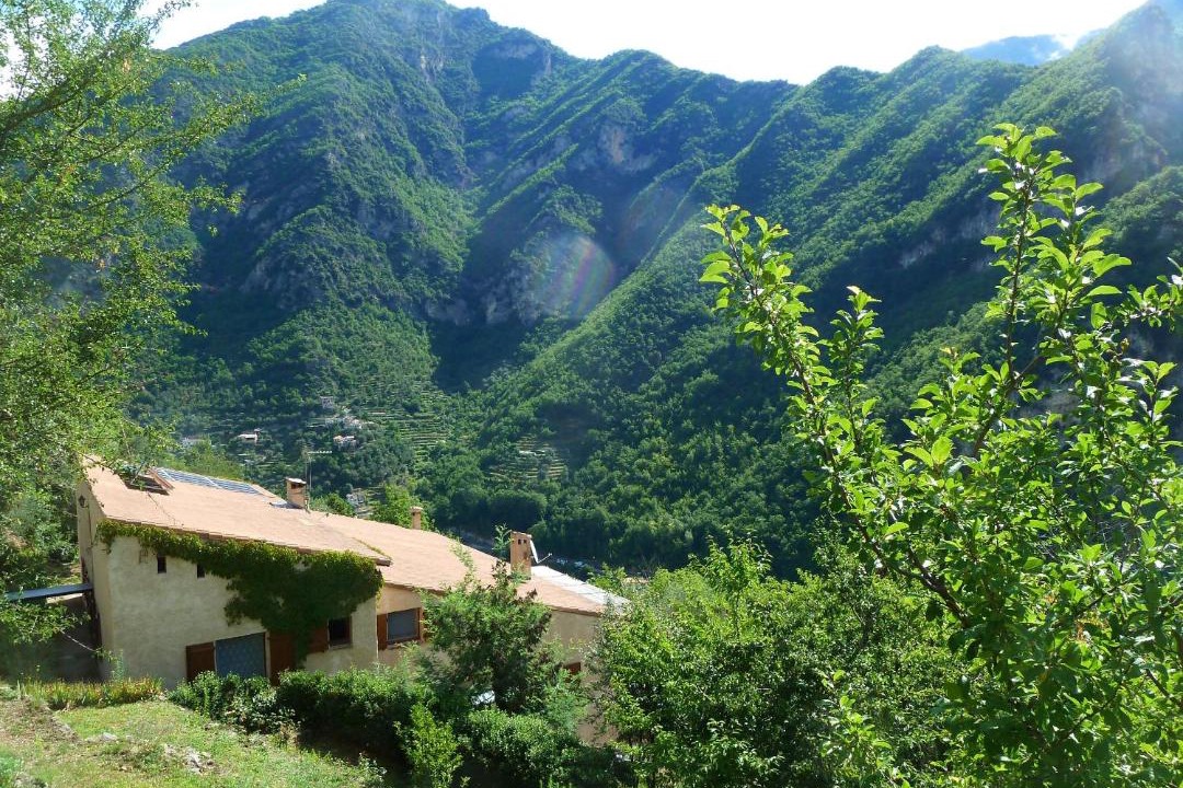 Photo of Others in Utelle