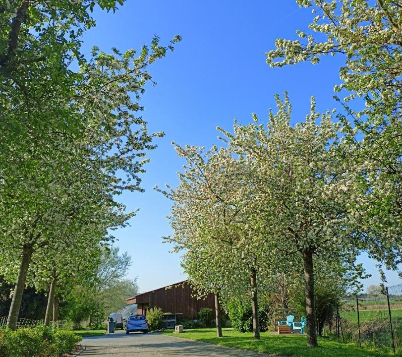 Photo of Others in Verlinghem