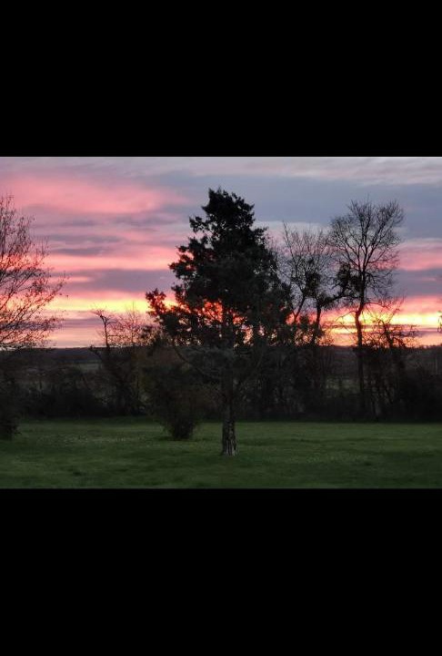 Photo of Others in Neuilly-en-Dun