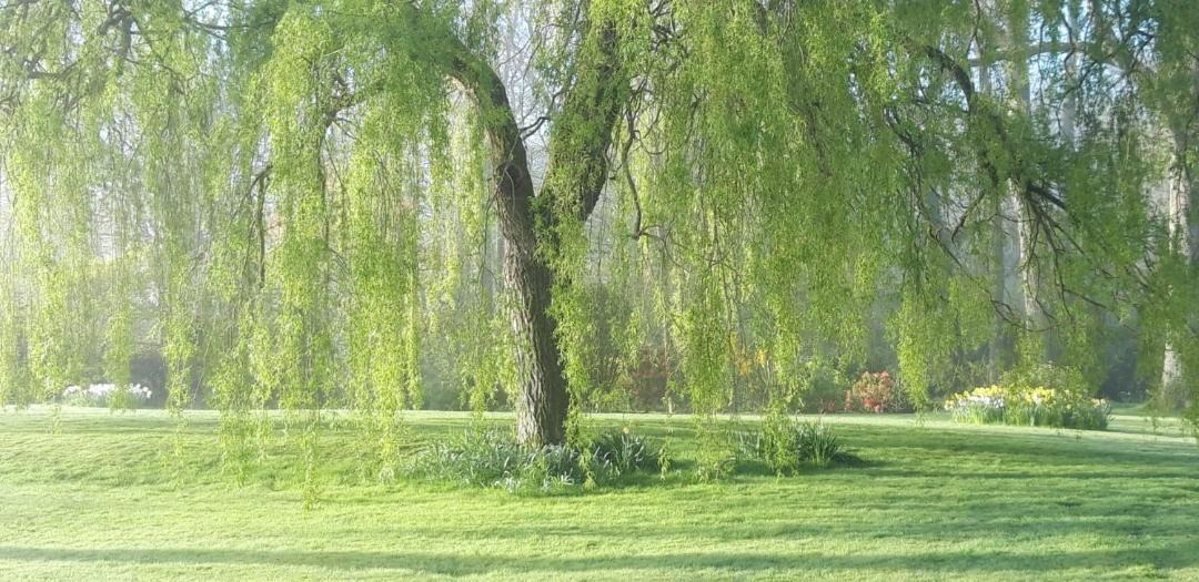 Photo of Others in Cranbrook