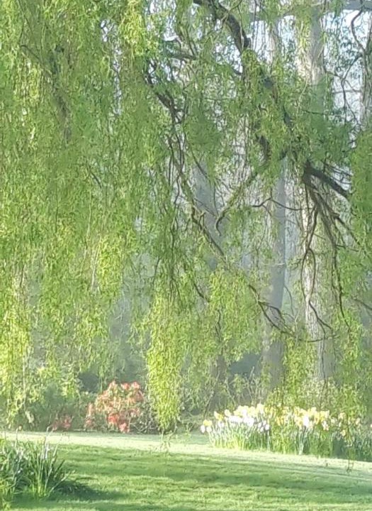 Photo of Others in Cranbrook