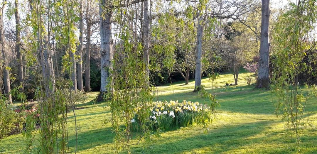 Photo of Outdoor in Cranbrook