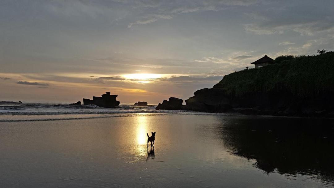 Photo of Outdoor in West Selemadeg