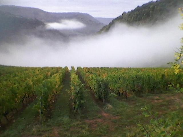 Photo of Others in Valady