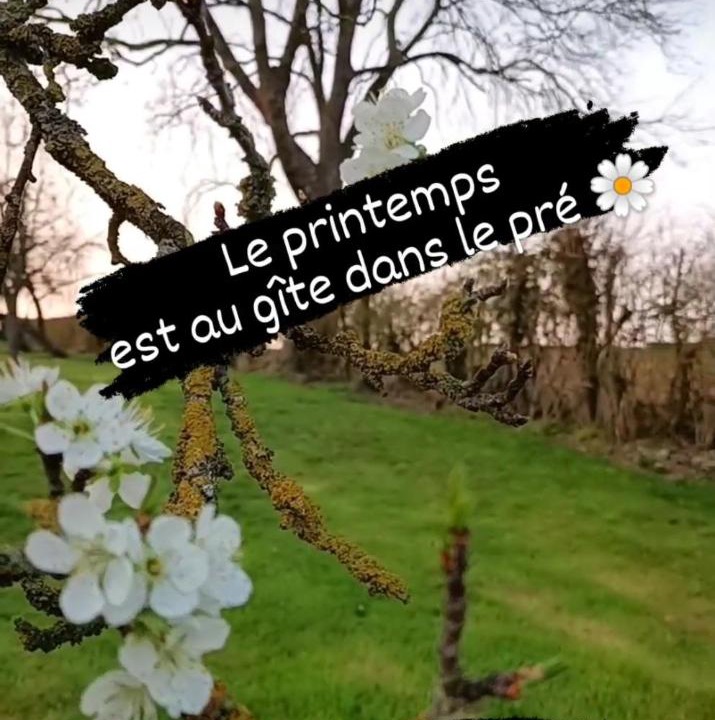 Photo of Buildings in Carly