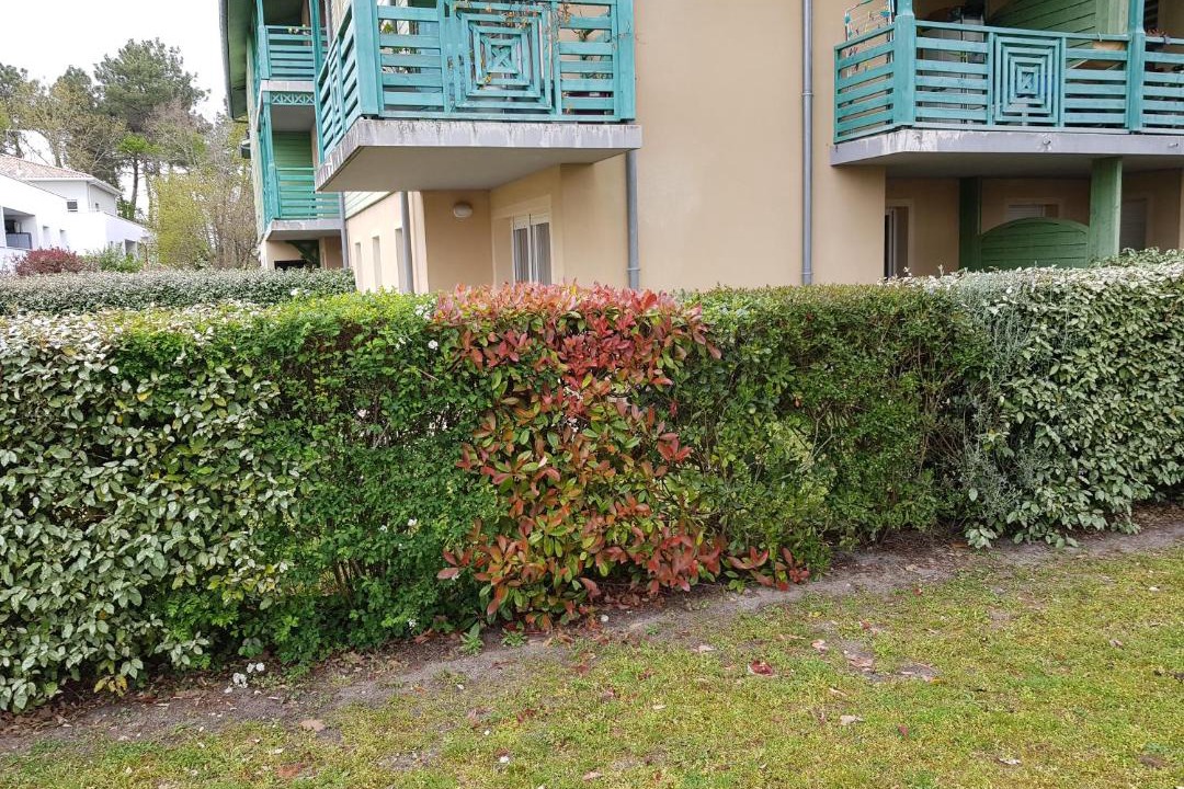 Photo of Others in Audenge