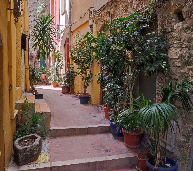 Photo of Others in Old Town