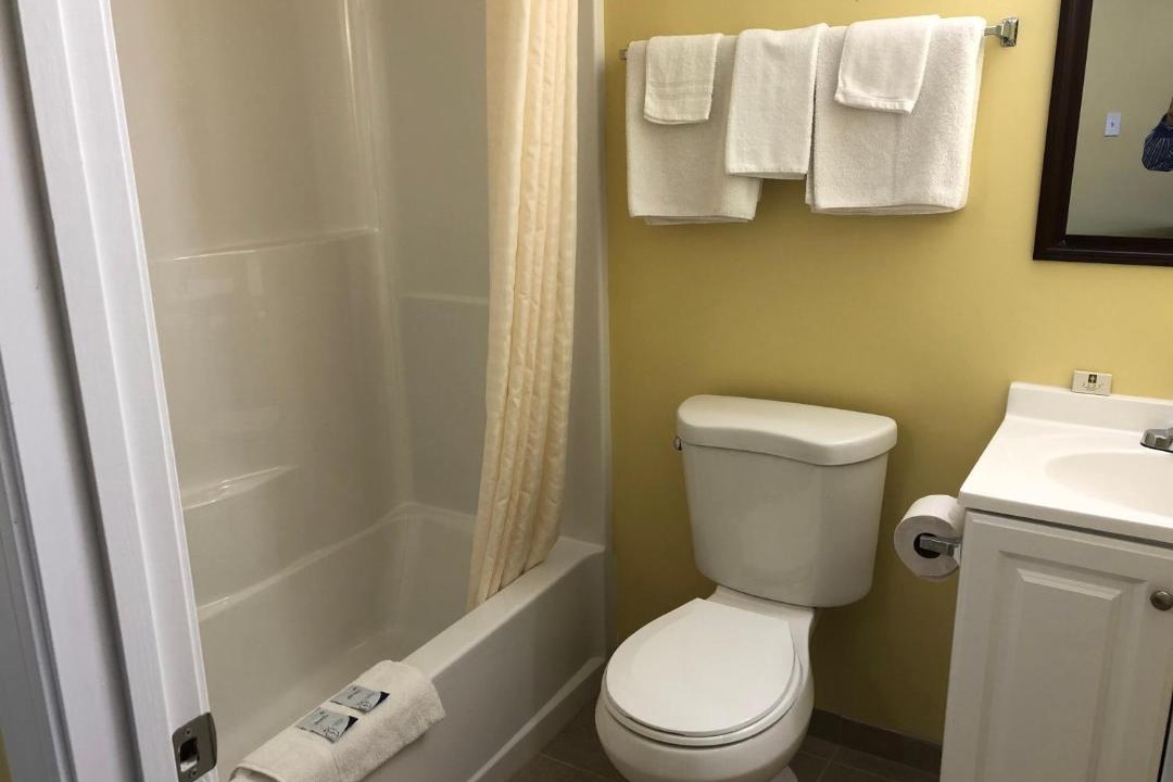 Photo of Others in East Wareham