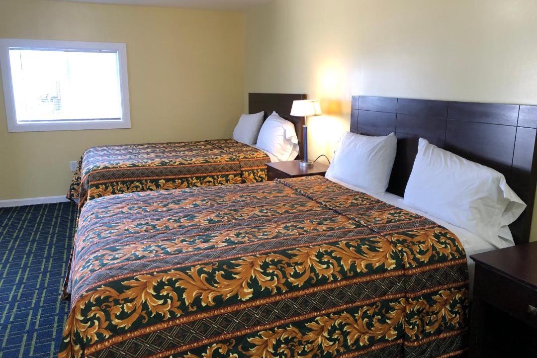 Photo of Others in East Wareham