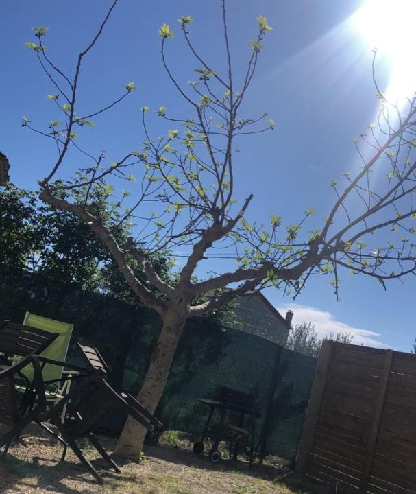 Photo of Others in Sablet