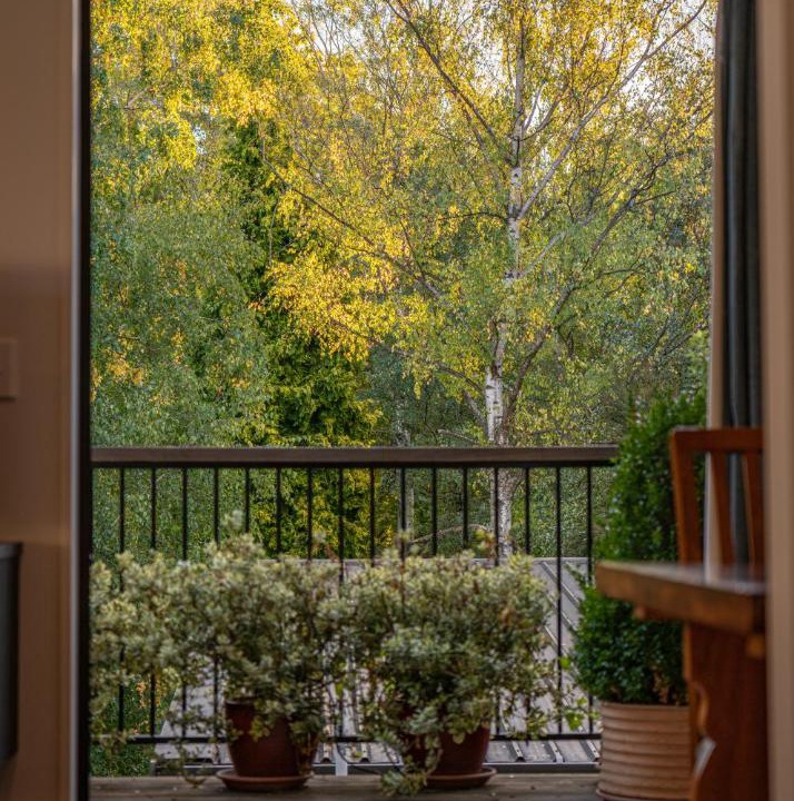 Photo of Others in Wanaka