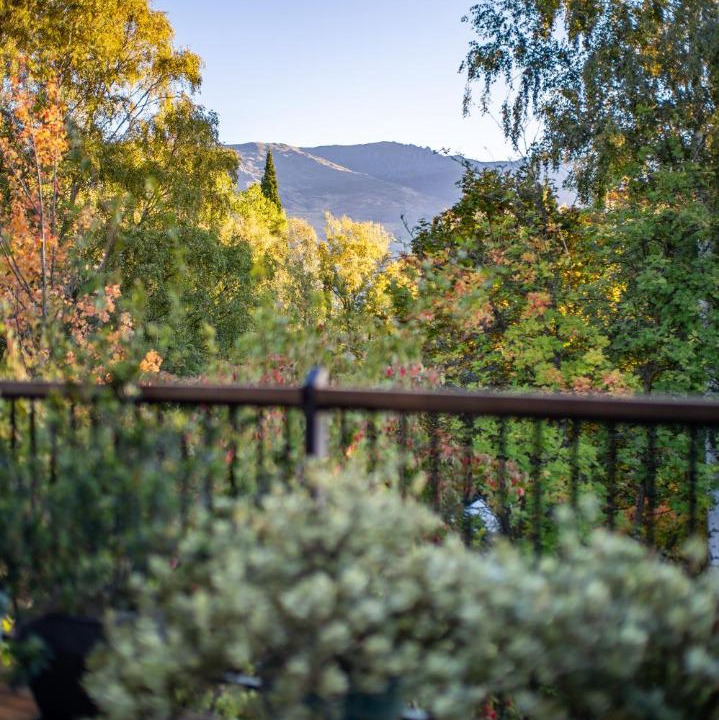 Photo of Others in Wanaka