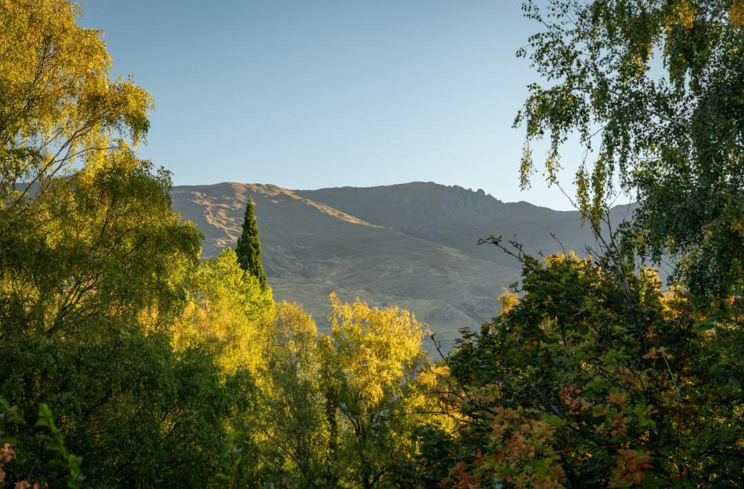 Photo of Outdoor in Wanaka