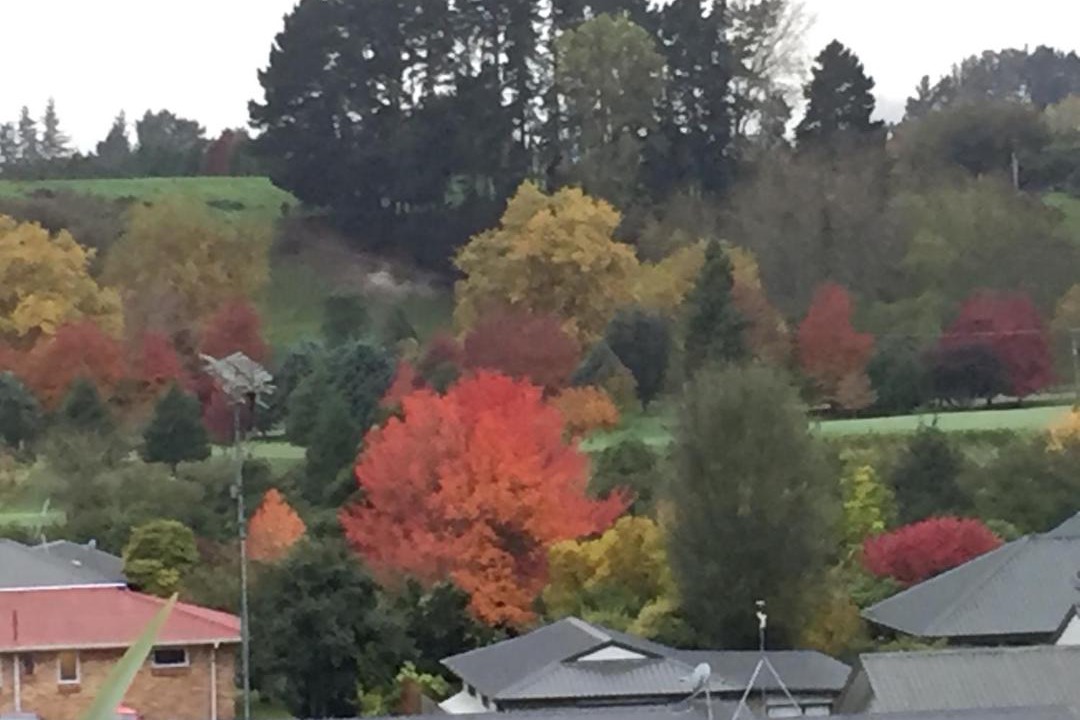 Photo of Others in Leamington