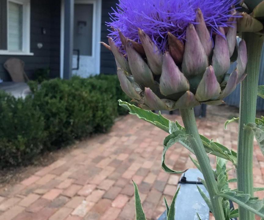 Photo of Others in Heathcote