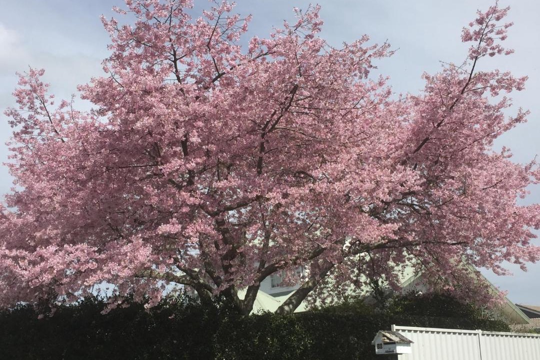 Photo of Others in Leamington