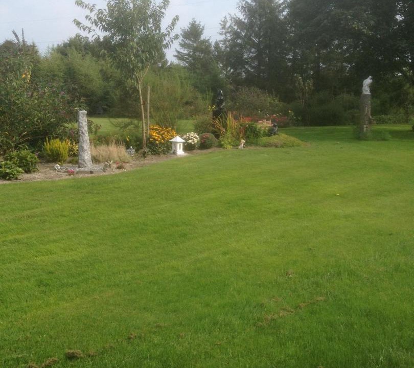 Photo of Others in Give