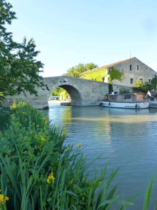 Photo of Others in Le Somail