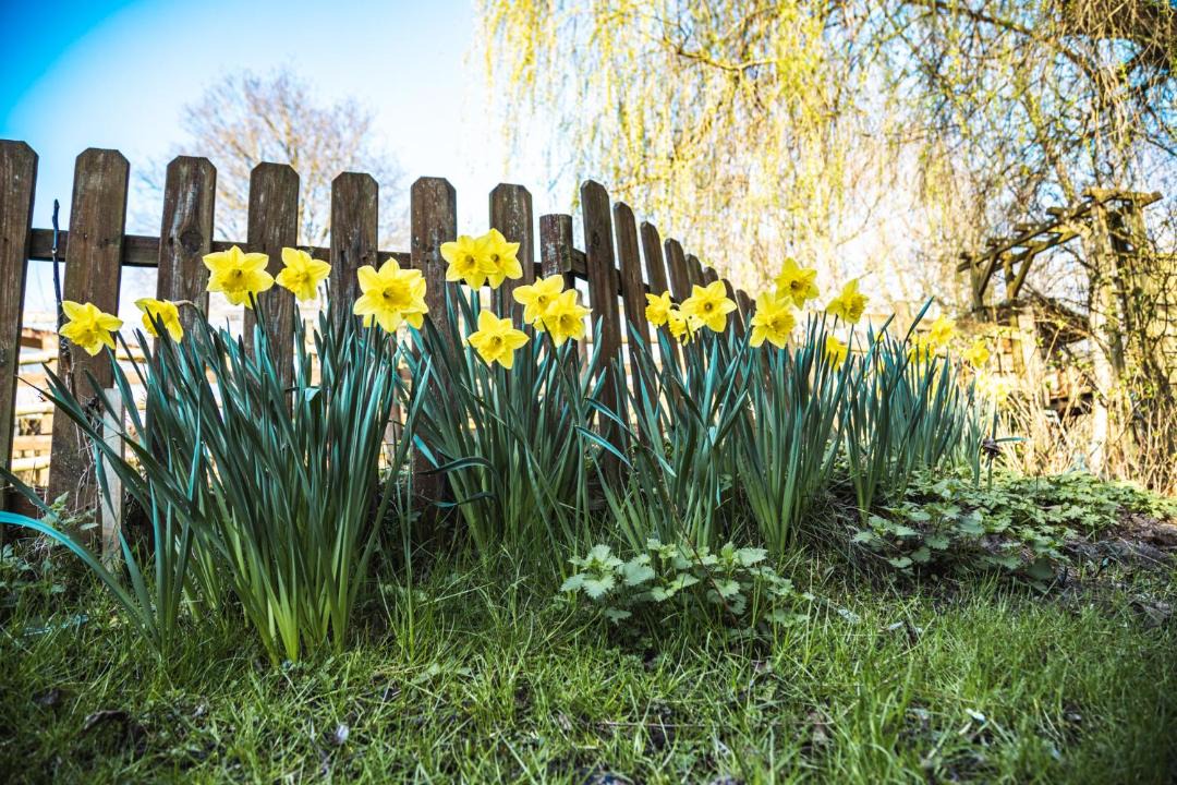 Photo of Outdoor in Jumencourt