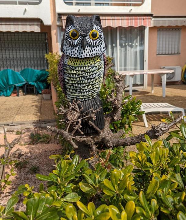 Photo of Buildings in Cannes La Bocca