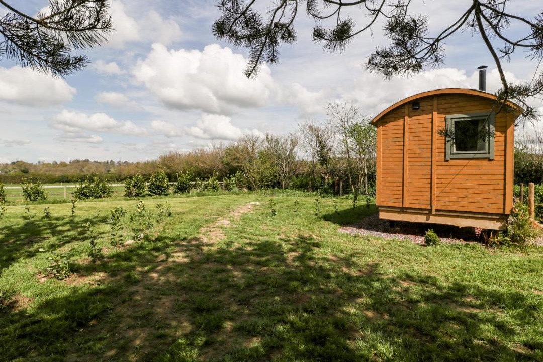 Photo of Buildings in Chard