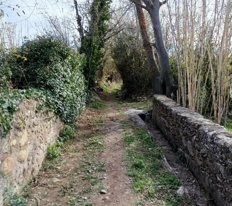 Photo of Others in Sant Climent Sescebes