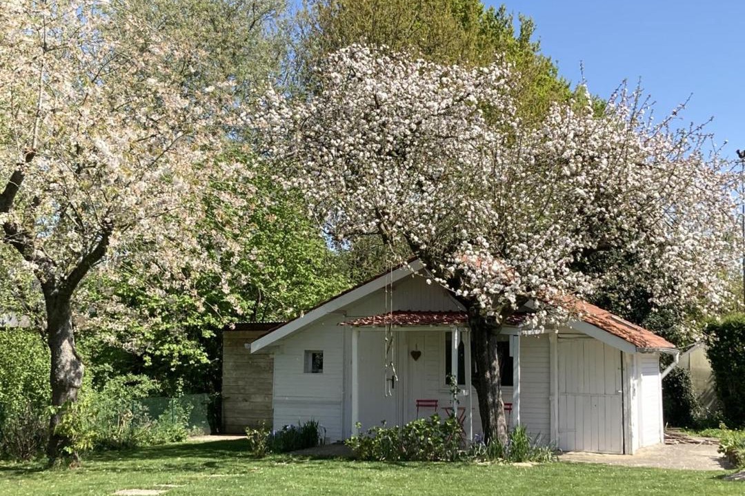 Photo of Buildings in Beuvry-la-Foret