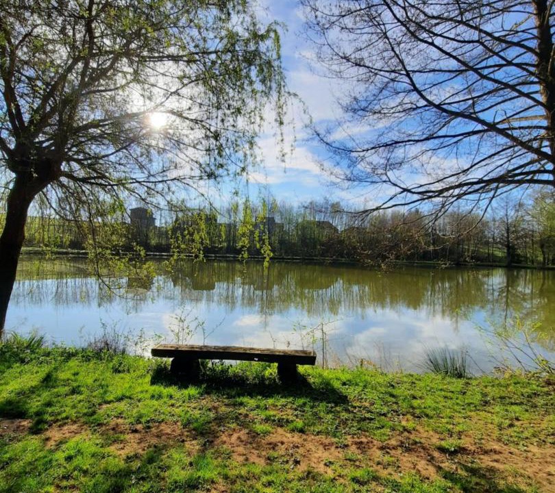 Photo of Others in Lonny