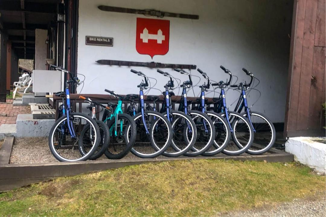 Photo of Others in Stowe Area