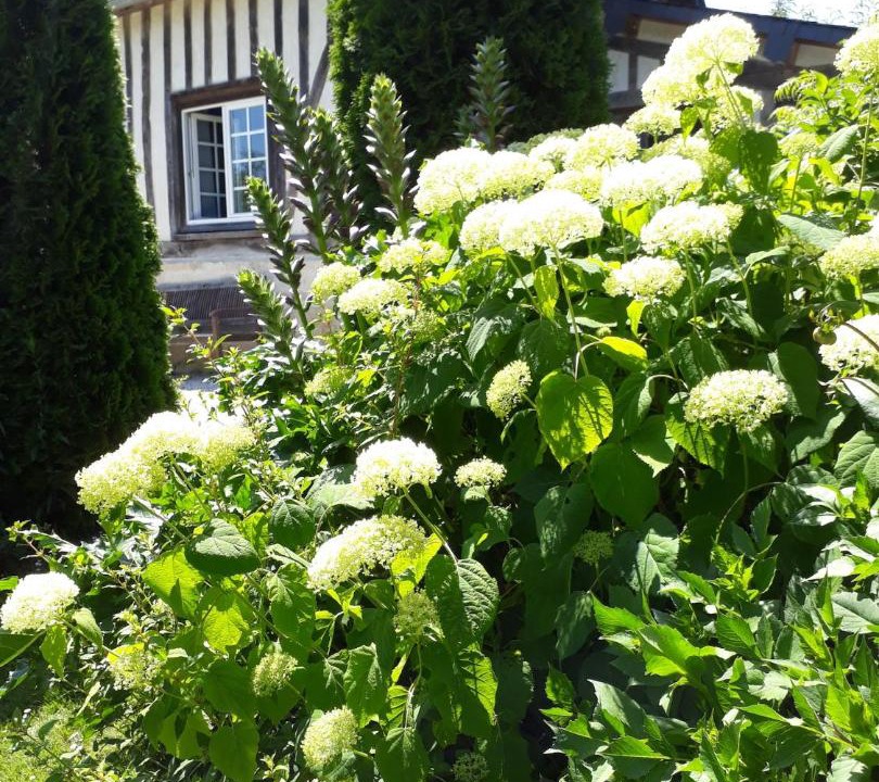 Photo of Others in Cheffreville-Tonnencourt