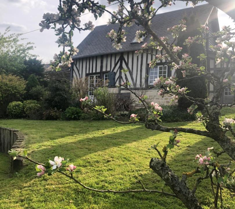Photo of Others in Cheffreville-Tonnencourt