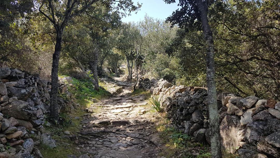 Photo of Outdoor in Corbara