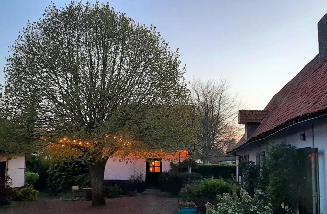 Photo of Others in Wamin