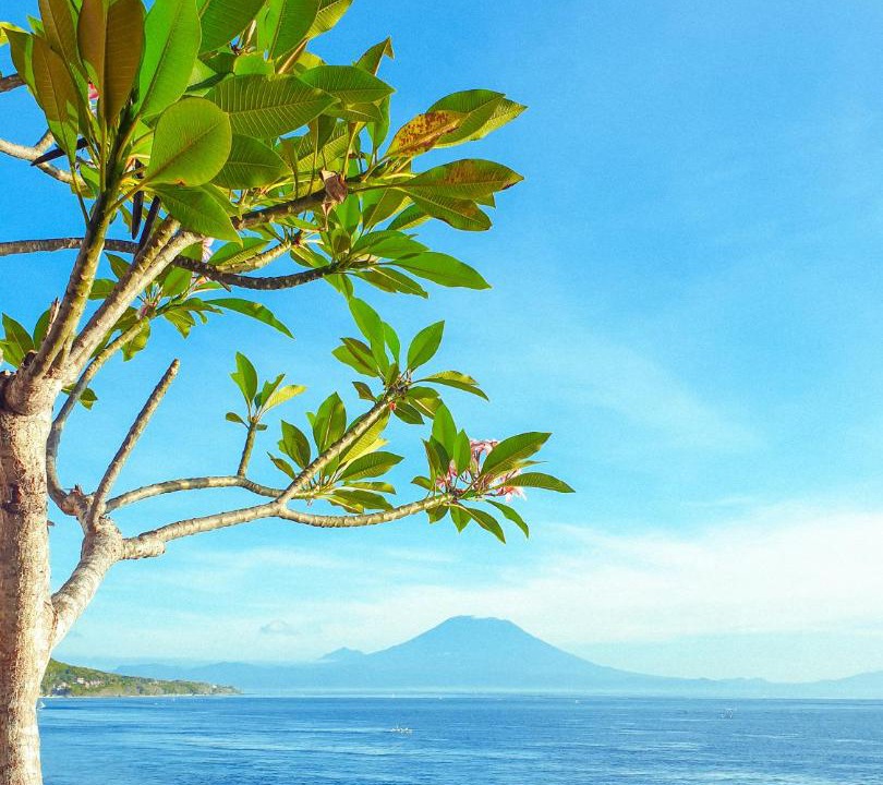 Photo of Others in Penida Island