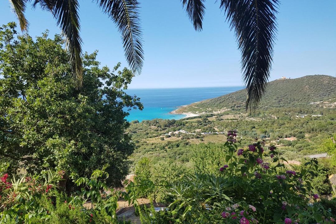 Photo of Outdoor in Corbara