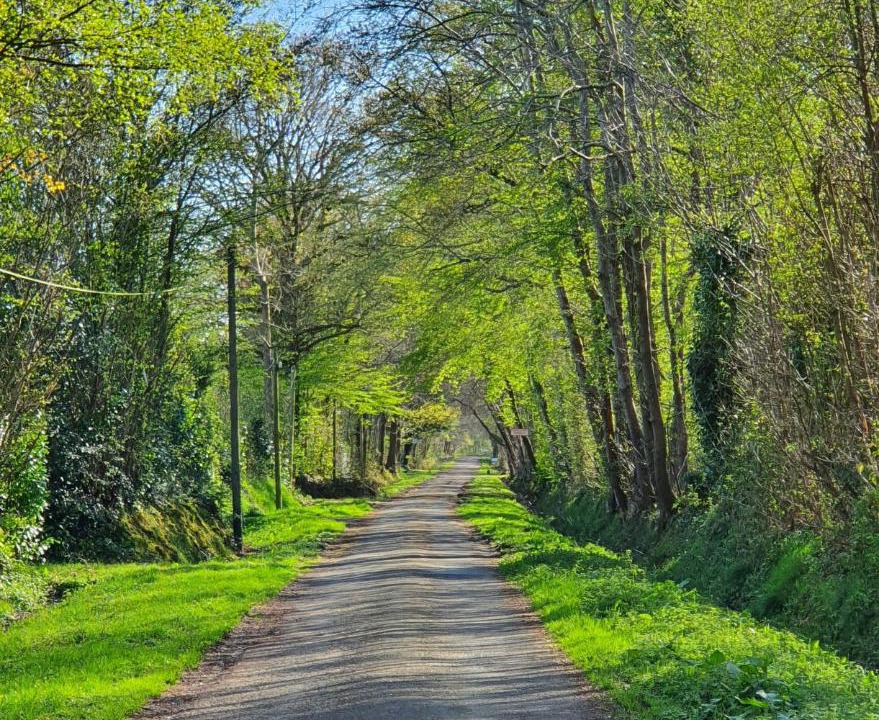 Photo of Others in Saint-Gatien-des-Bois