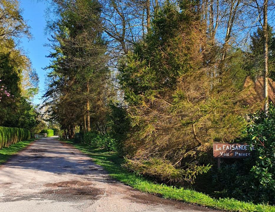 Photo of Others in Saint-Gatien-des-Bois