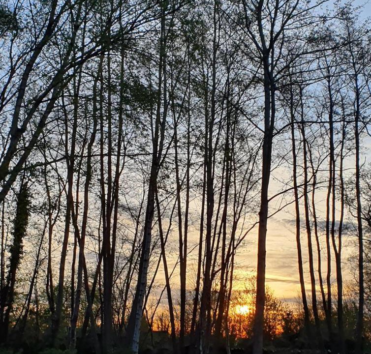Photo of Others in Saint-Gatien-des-Bois