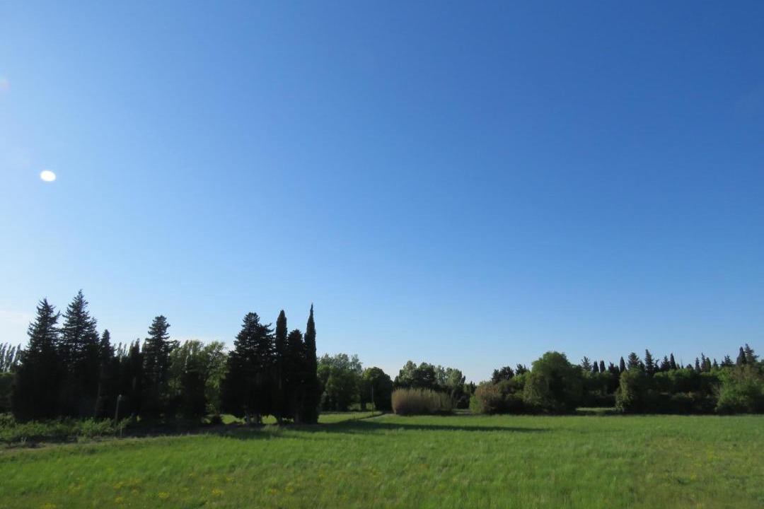 Photo of Others in Grans